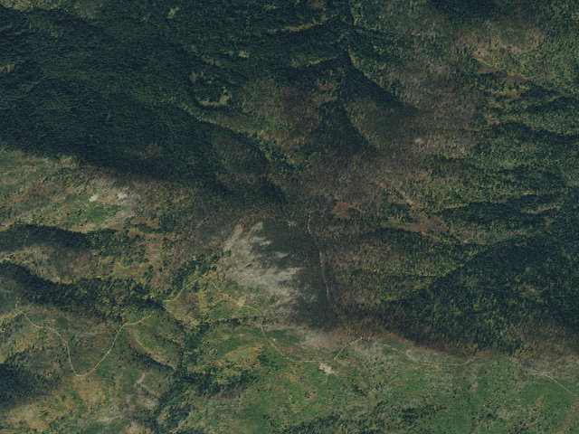 Aerial image of USFS dispersed camp — ID #127