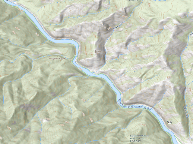 USGS topographic map of USFS dispersed camp — ID #132