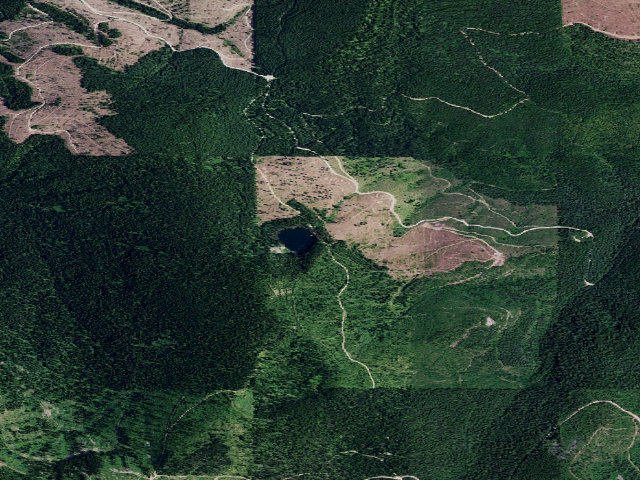 Aerial image of USFS dispersed camp — ID #137