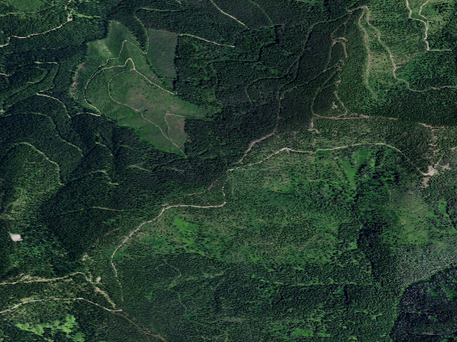 Aerial image of USFS dispersed camp — ID #138