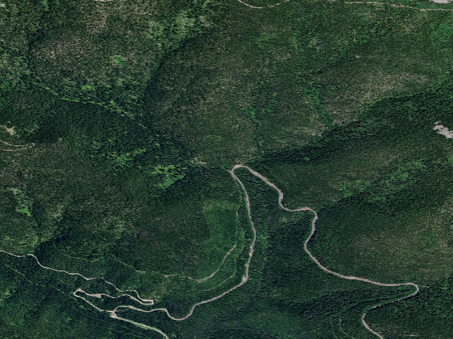 Aerial image of USFS dispersed camp — ID #141