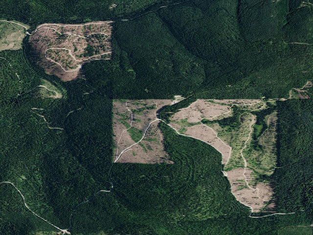 Aerial image of USFS dispersed camp — ID #150