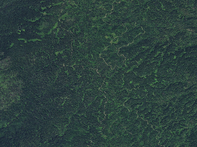 Aerial image of USFS dispersed camp — ID #155