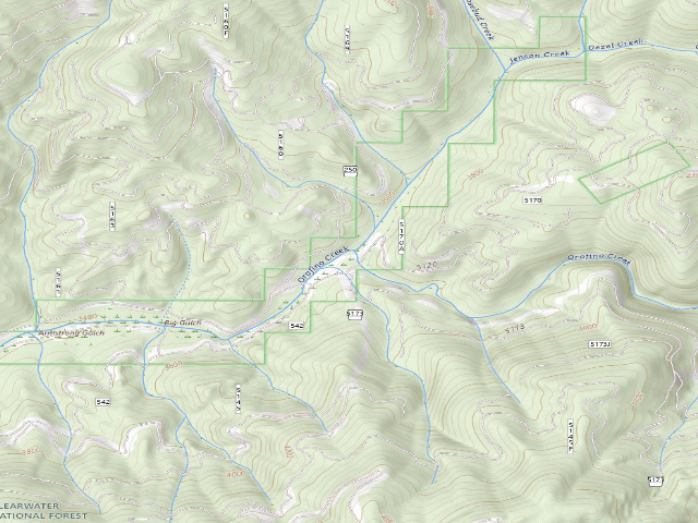 USGS topographic map of USFS dispersed camp — ID #156
