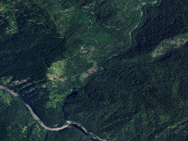 Aerial image of USFS dispersed camp — ID #159