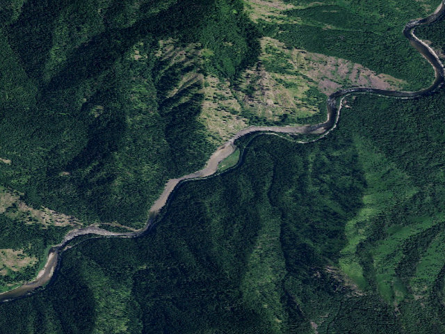 Aerial image of USFS dispersed camp — ID #163
