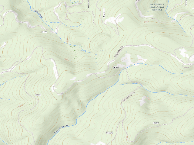 USGS topographic map of USFS dispersed camp — ID #165