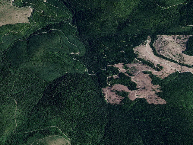 Aerial image of USFS dispersed camp — ID #17