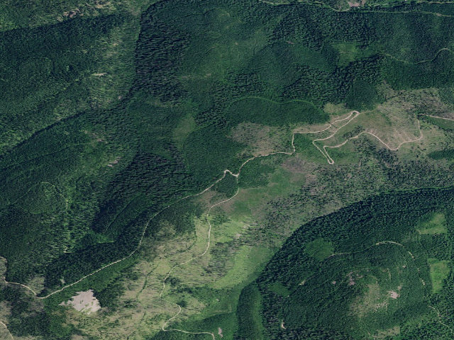 Aerial image of USFS dispersed camp — ID #173