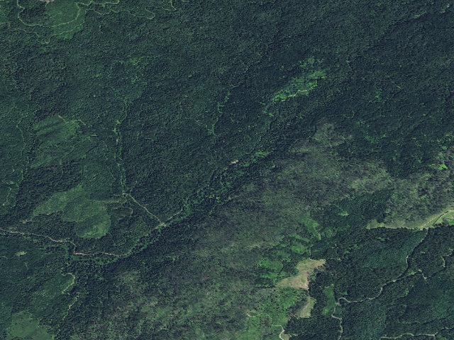 Aerial image of USFS dispersed camp — ID #177