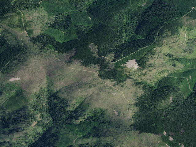 Aerial image of USFS dispersed camp — ID #178