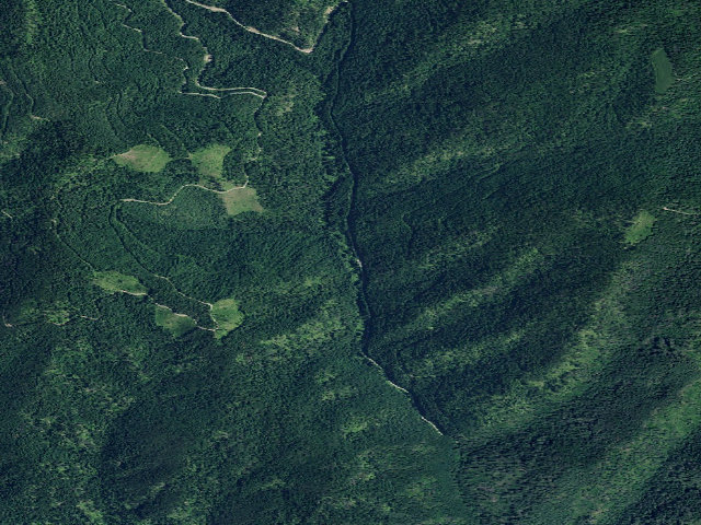 Aerial image of USFS dispersed camp — ID #181