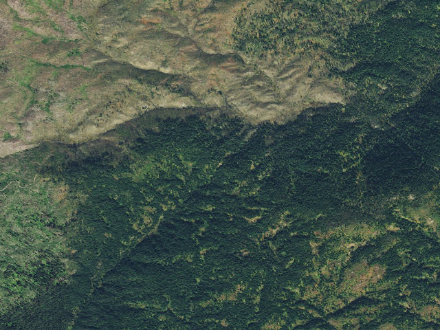 Aerial image of USFS dispersed camp — ID #182