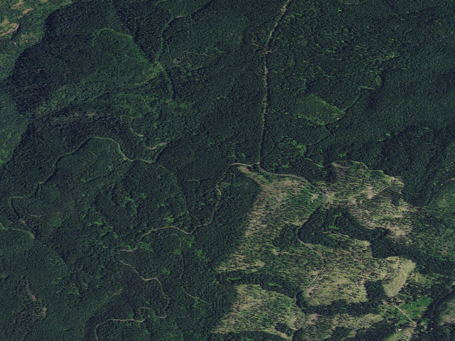 Aerial image of USFS dispersed camp — ID #19