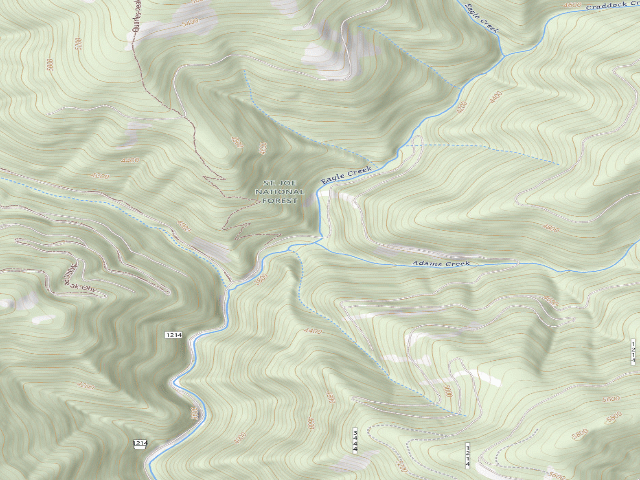USGS topographic map of USFS dispersed camp — ID #190