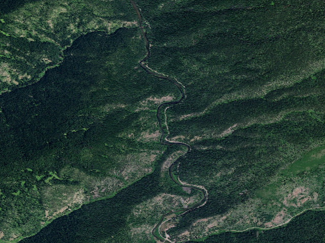 Aerial image of USFS dispersed camp — ID #195