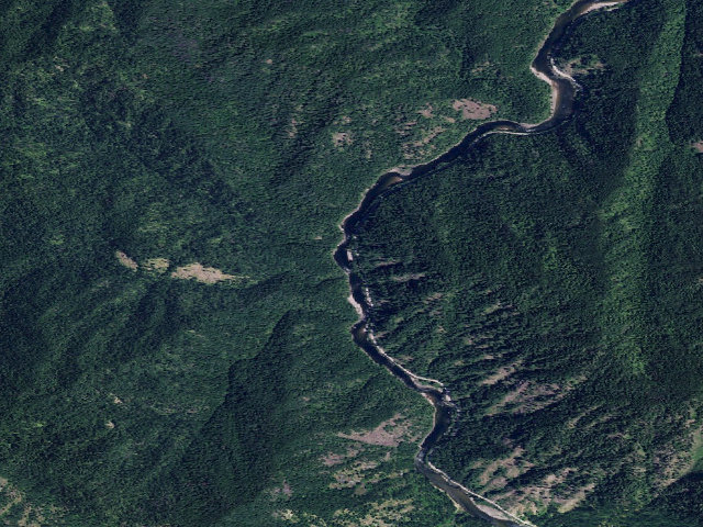 Aerial image of USFS dispersed camp — ID #196