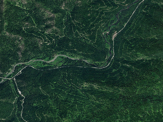 Aerial image of USFS dispersed camp — ID #197