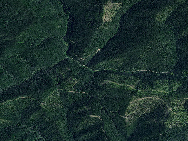 Aerial image of USFS dispersed camp — ID #199