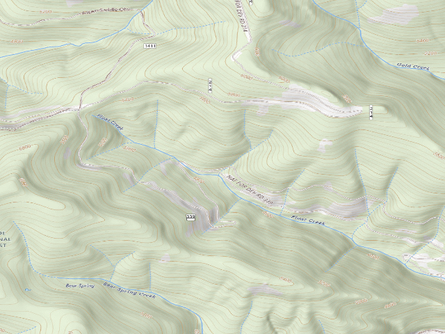 USGS topographic map of USFS dispersed camp — ID #201