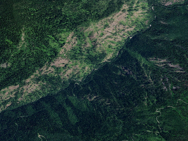 Aerial image of USFS dispersed camp — ID #202