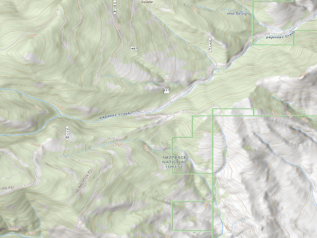 USGS topographic map of USFS dispersed camp — ID #203