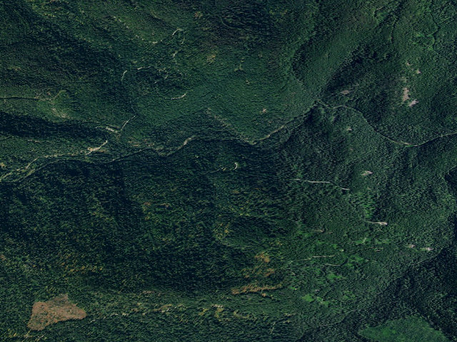 Aerial image of USFS dispersed camp — ID #204