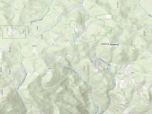 USGS topographic map of USFS dispersed camp — ID #205