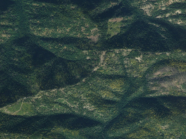 Aerial image of USFS dispersed camp — ID #206