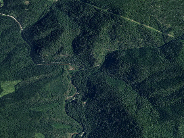 Aerial image of USFS dispersed camp — ID #208