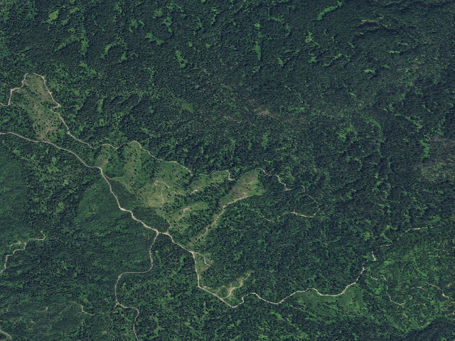 Aerial image of USFS dispersed camp — ID #209