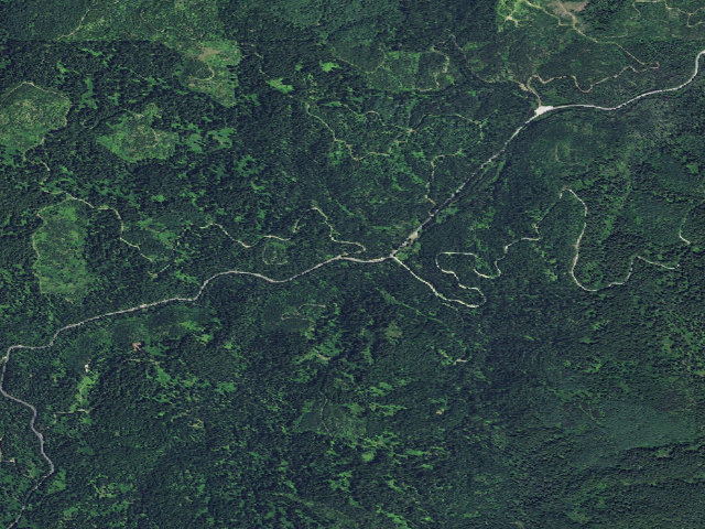 Aerial image of USFS dispersed camp — ID #217