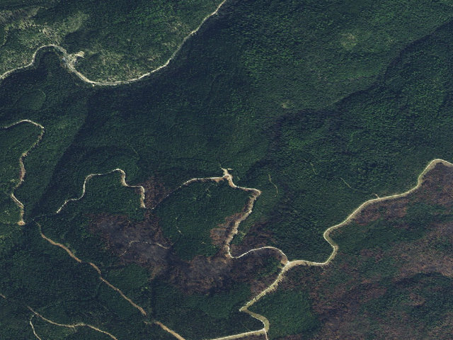 Aerial image of USFS dispersed camp — ID #220