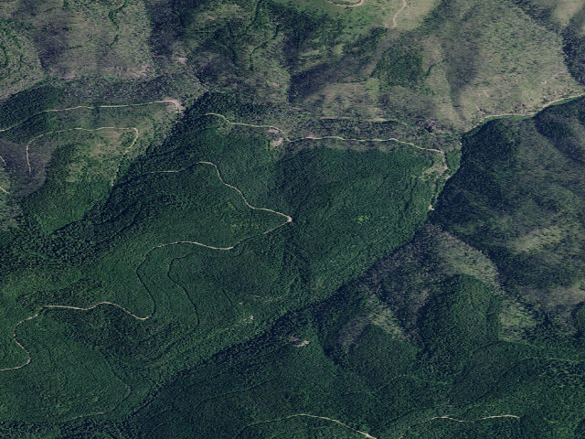 Aerial image of USFS dispersed camp — ID #221