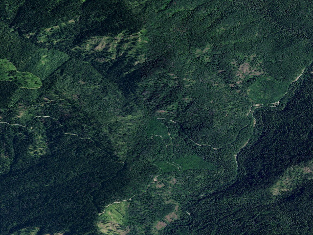 Aerial image of USFS dispersed camp — ID #225