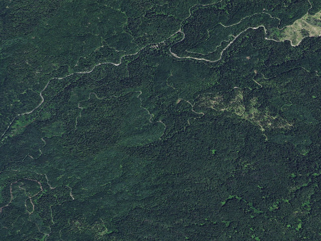 Aerial image of USFS dispersed camp — ID #229