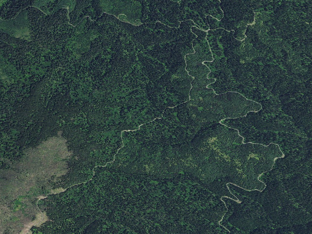 Aerial image of USFS dispersed camp — ID #231