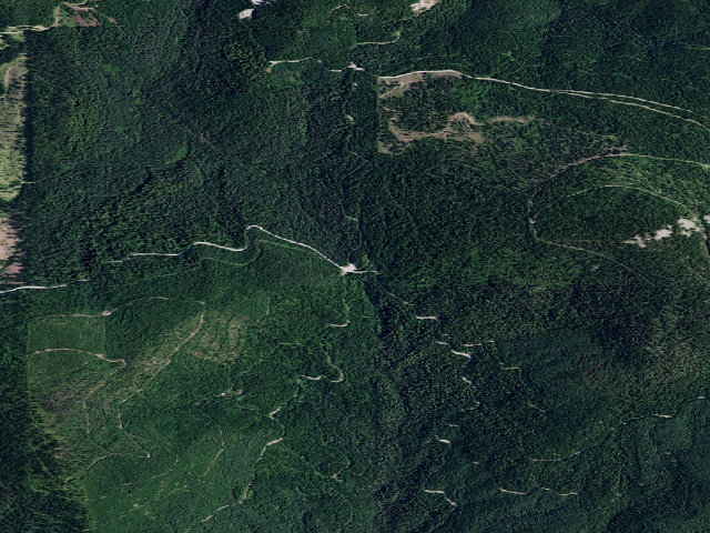 Aerial image of USFS dispersed camp — ID #232