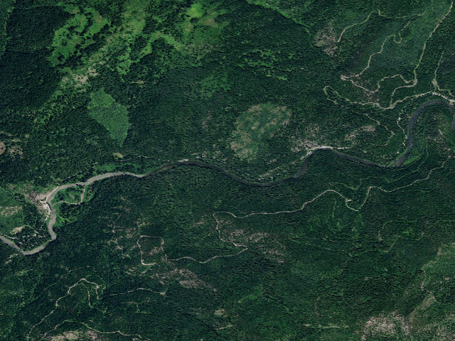 Aerial image of USFS dispersed camp — ID #246