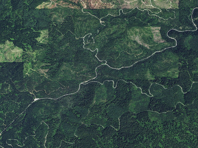 Aerial image of USFS dispersed camp — ID #247