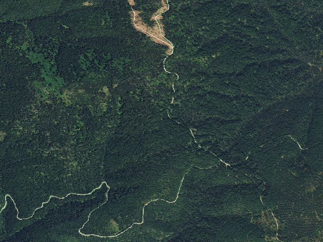Aerial image of USFS dispersed camp — ID #250