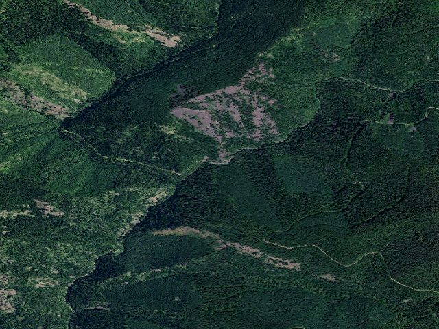 Aerial image of USFS dispersed camp — ID #251