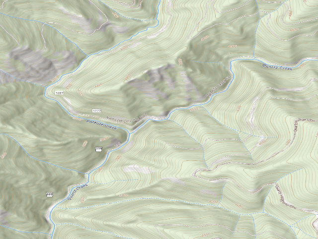 USGS topographic map of USFS dispersed camp — ID #251