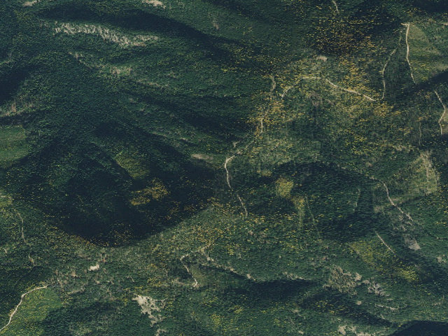 Aerial image of USFS dispersed camp — ID #253
