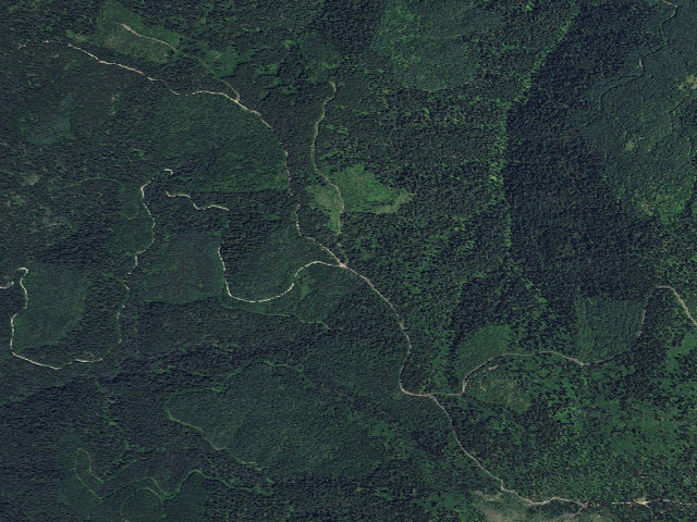 Aerial image of USFS dispersed camp — ID #254