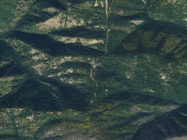 Aerial image of USFS dispersed camp — ID #255