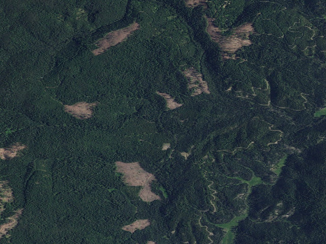 Aerial image of USFS dispersed camp — ID #265