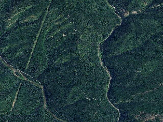 Aerial image of USFS dispersed camp — ID #275