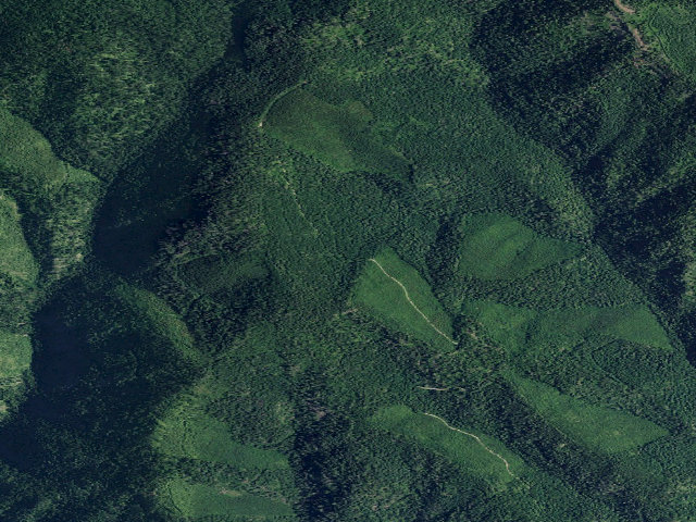 Aerial image of USFS dispersed camp — ID #277