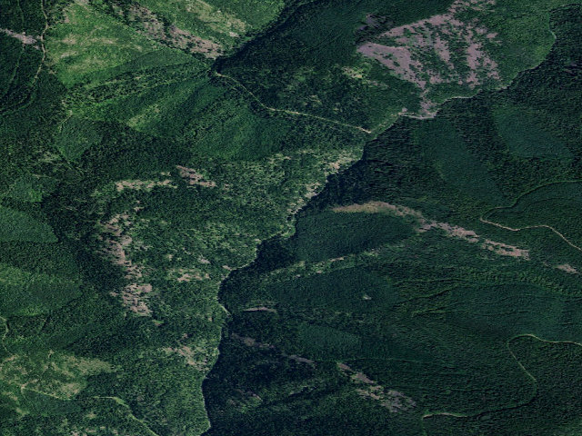 Aerial image of USFS dispersed camp — ID #282